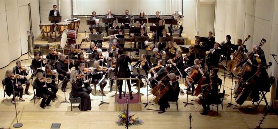 Meet the Musicians  - 